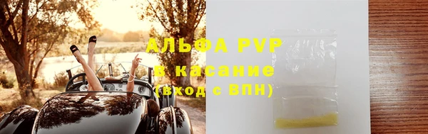 PSILOCYBIN Бородино