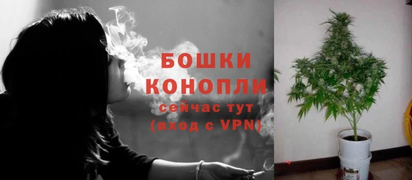 PSILOCYBIN Бородино