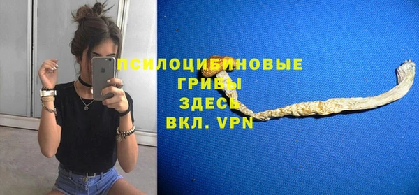 MDMA Premium VHQ Бронницы