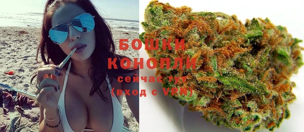 прущий лед Богданович