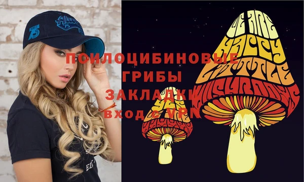 MDMA Premium VHQ Бронницы