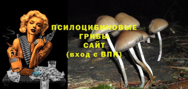 ГАЛЛЮЦИНОГЕННЫЕ ГРИБЫ Балабаново