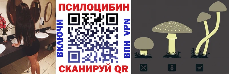 Галлюциногенные грибы Magic Shrooms  Гудермес 